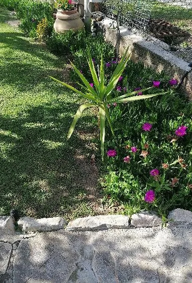 مبيت وإفطار A Casa Di Lele A كابالبيو 0*,