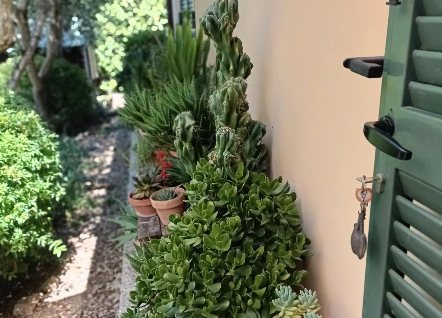 مبيت وإفطار A Casa Di Lele A كابالبيو 0*,