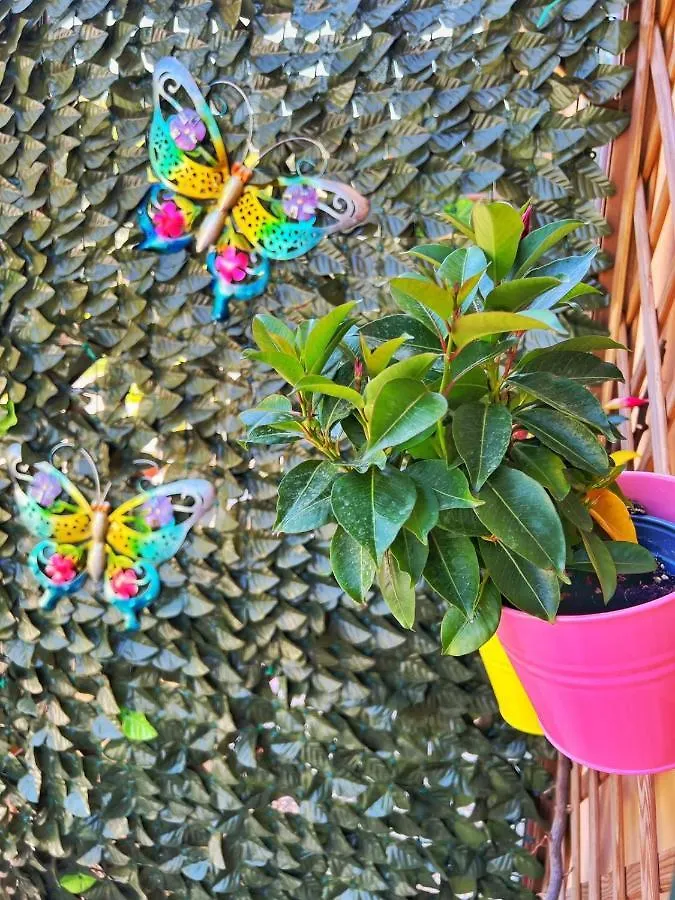 A Casa Di Lele A Capalbio Bed & Breakfast Italy